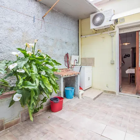 Guesthost - - Cozy House With Patio! Ploaghe